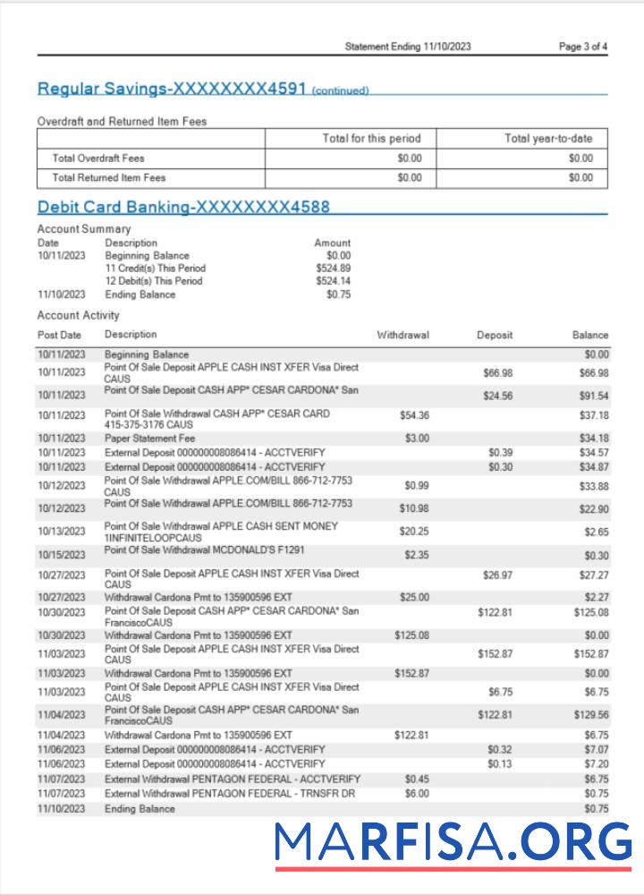 Blank USA MidFlorida bank statement word 3 pages 3 template